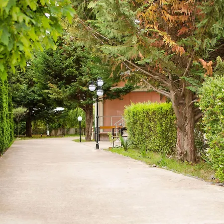 Palma 3* Сонячний Берег