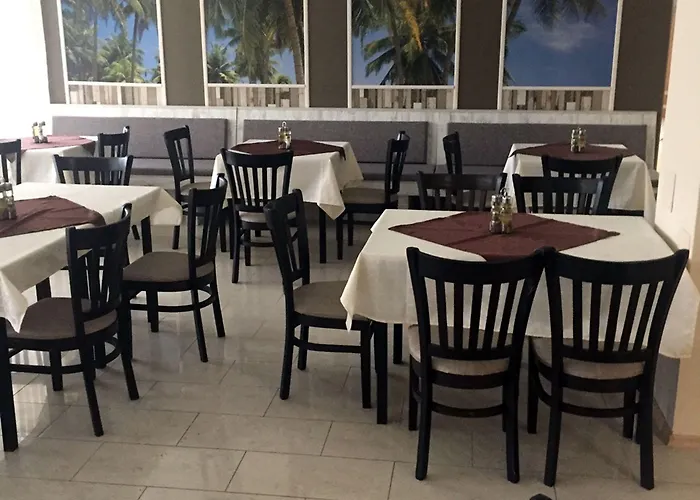 палма Слънчев бряг