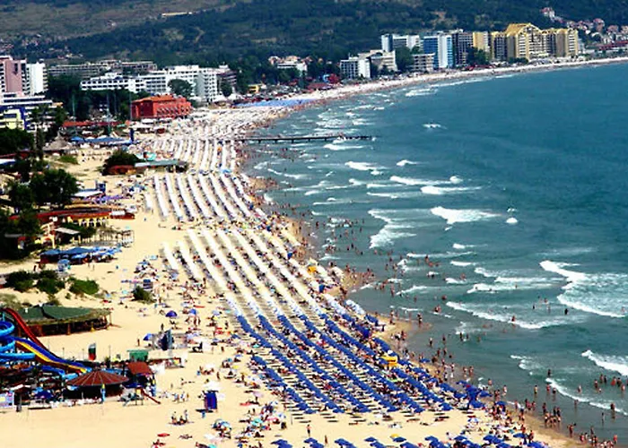 палма 3* Слънчев бряг